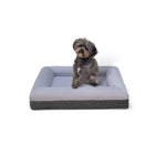 KLEINES LUXUS-BOUCLÉ ORTHOPÄDISCHES PEPPY PLUSH HUNDEBETT (WOLKE)