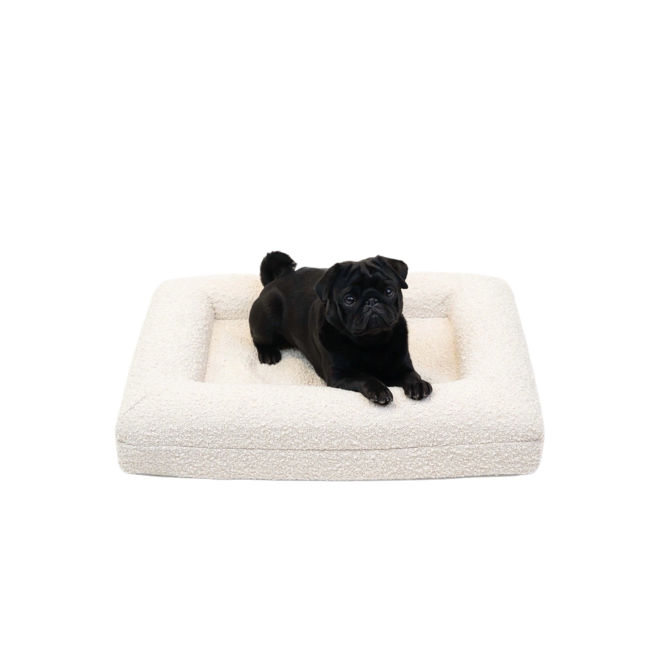 KLEINES LUXUS-BOUCLÉ ORTHOPÄDISCHES PEPPY PLUSH HUNDEBETT (WOLKE)