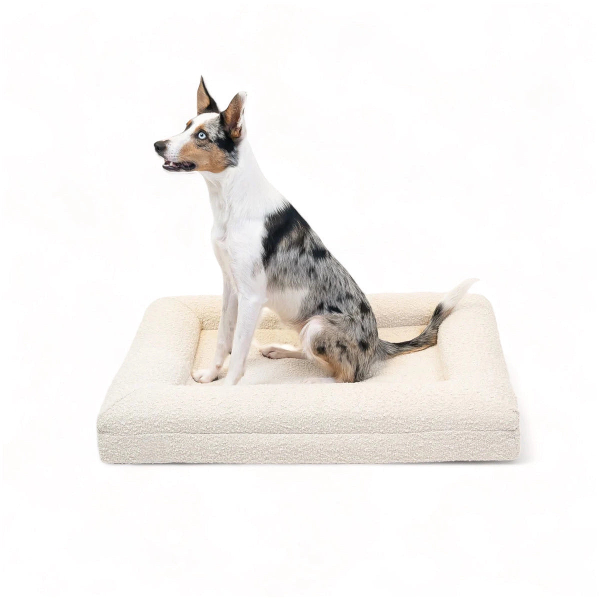 KLEINES LUXUS-BOUCLÉ ORTHOPÄDISCHES PEPPY PLUSH HUNDEBETT (WOLKE)