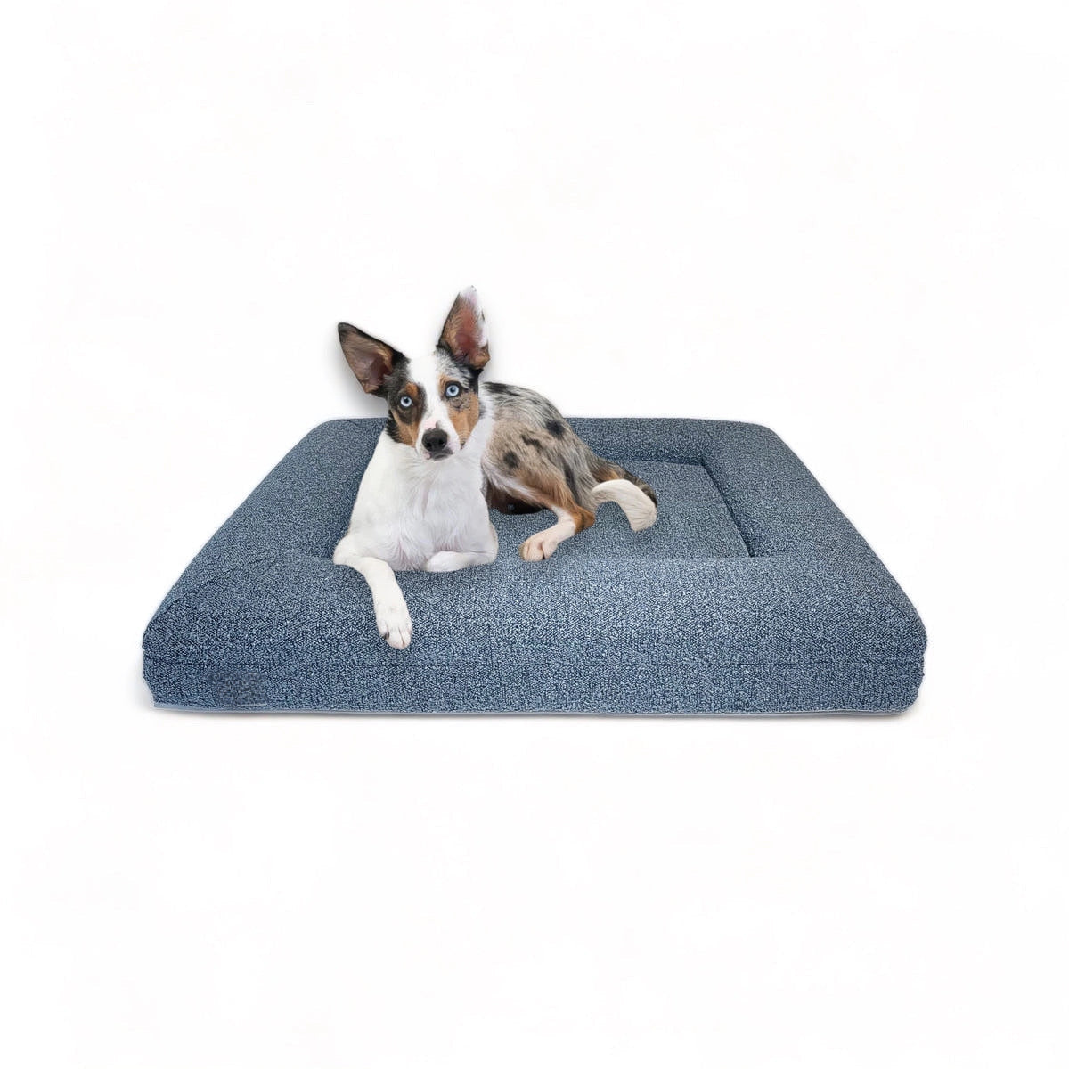 KLEINES LUXUS-BOUCLÉ ORTHOPÄDISCHES PEPPY PLUSH HUNDEBETT (WOLKE)