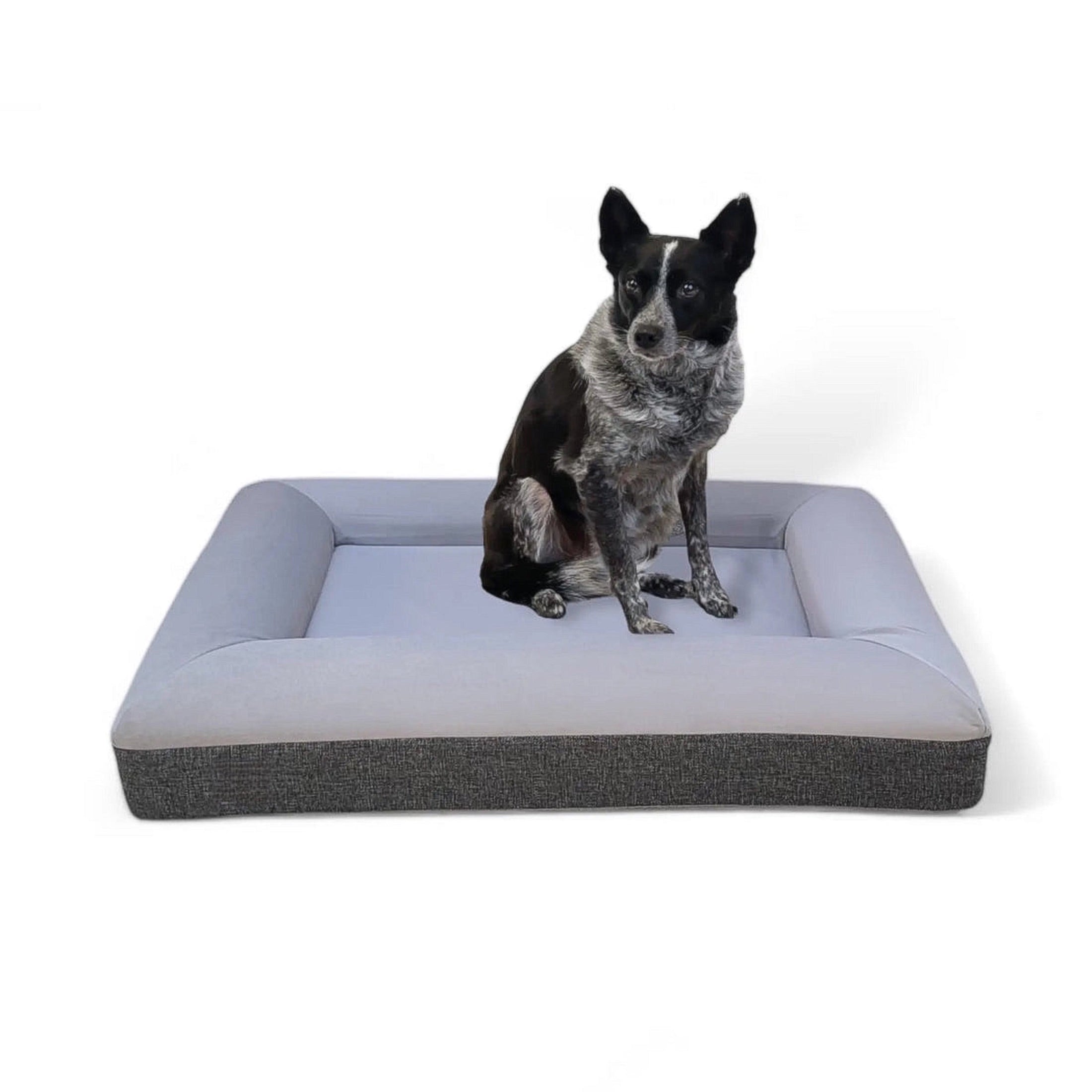 KLEINES LUXUS-BOUCLÉ ORTHOPÄDISCHES PEPPY PLUSH HUNDEBETT (WOLKE)