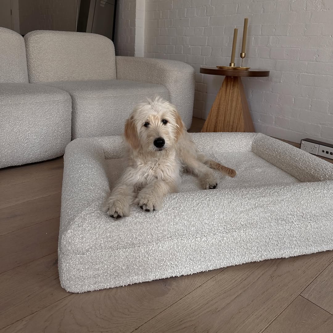 KLEINES LUXUS-BOUCLÉ ORTHOPÄDISCHES PEPPY PLUSH HUNDEBETT (WOLKE)